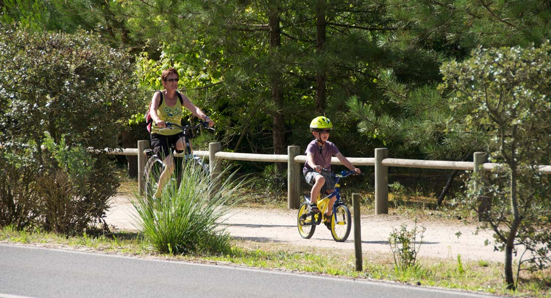 Bike path in Vendée near the campsite in Saint-Hilaire