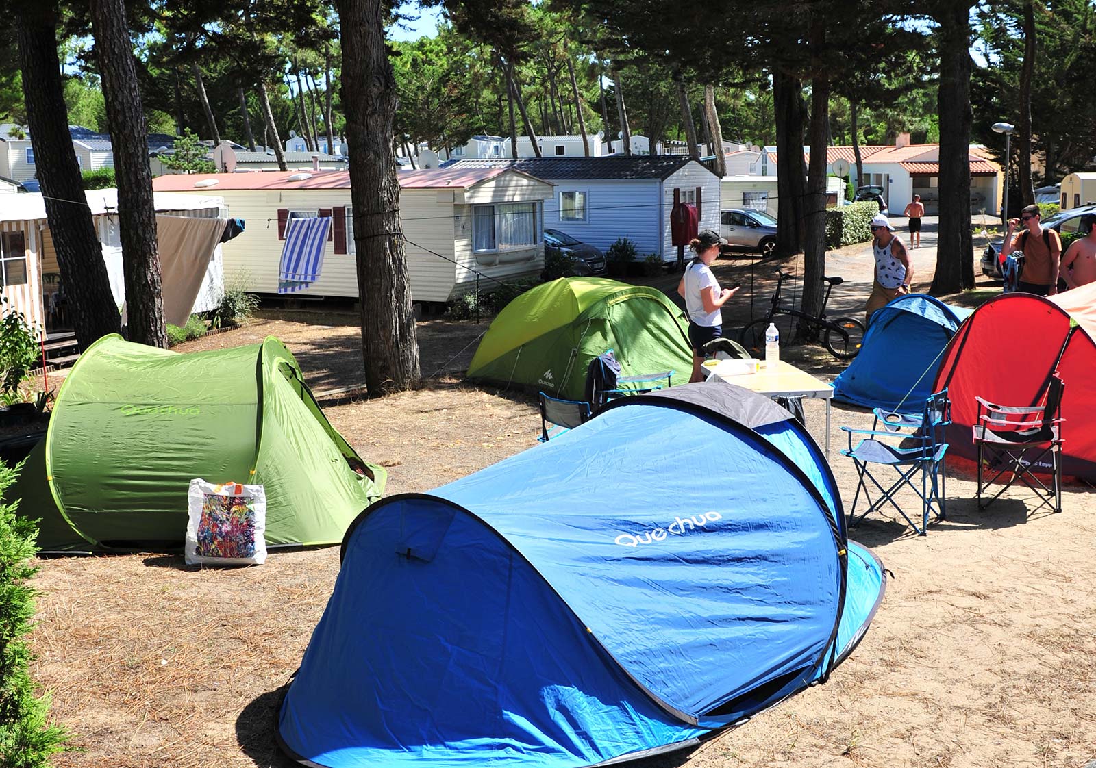 Tenten op een schaduwrijke kampeerplaats voor tenten in Saint-Hilaire 85