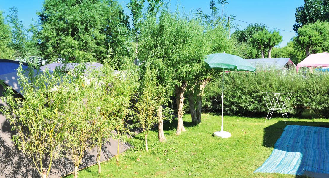 Emplacement de camping avec haies et arbres au camping La Prairie 85