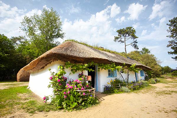 La bourrine du Bois Juquaud et son toit de chaume en Vendée