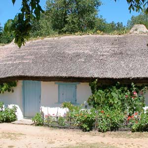 La bourrine du Bois Juquaud et son toit de chaume en Vendée