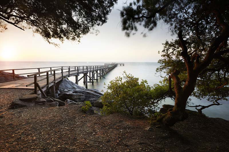 Le bois de la Chaise sur l'île de Noirmoutier